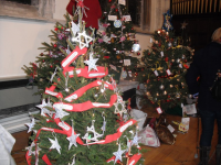 christmas_tree_festival_2013_20140220_1180905923
