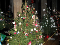 christmas_tree_festival_2013_20140220_1608367676